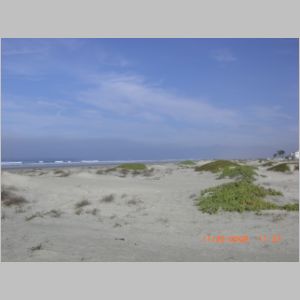 jbaja 088.jpg